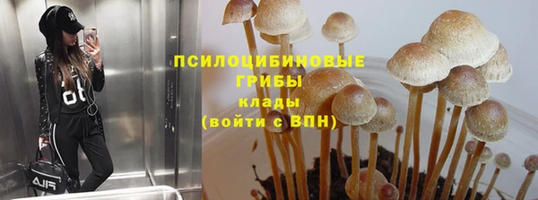 МДПВ Новокубанск