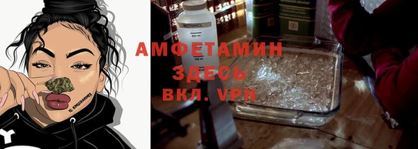 каннабис Новозыбков