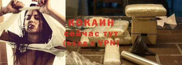 гашик Новодвинск