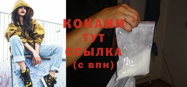 гашик Новодвинск