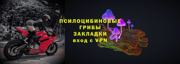 гашик Новодвинск