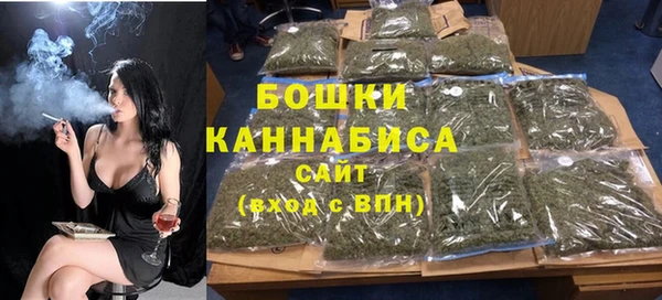 гашик Новодвинск