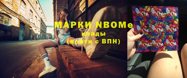 гашик Новодвинск