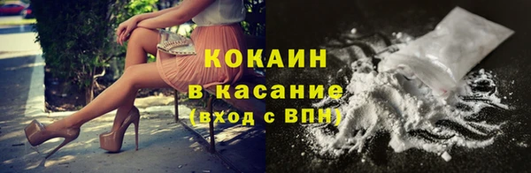 гашик Новодвинск